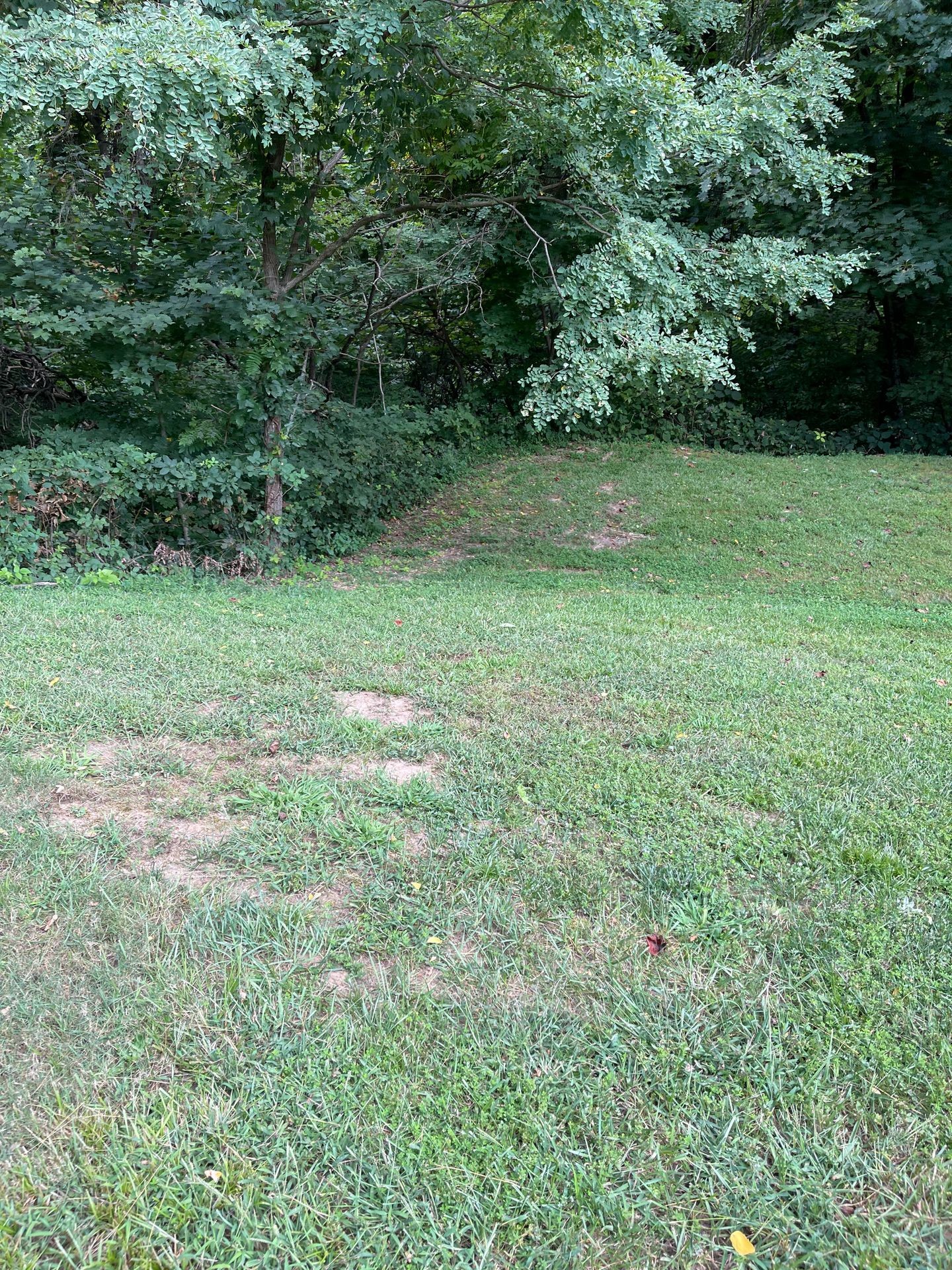 Land for sale Land for sale